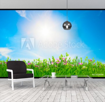 Image de Summer meadow flowers in green grass sunny blue sky